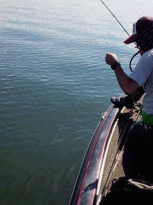 ロッドじゃダメ