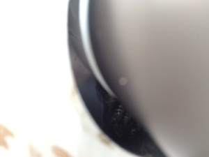 蜂の巣がある・・・