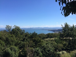 動き出してすぐ