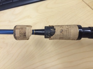 ブルーダー分裂