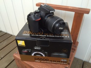 d5500_2