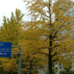 Thumbnail of related posts 090