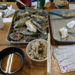 Thumbnail of related posts 156