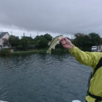 Thumbnail of post image 035