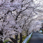 Thumbnail of post image 111