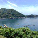 Thumbnail of post image 085